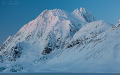 Dzień trzydziesty piąty