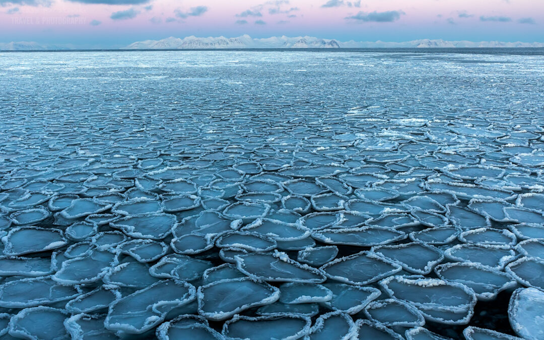 Dzień trzydziesty czwarty