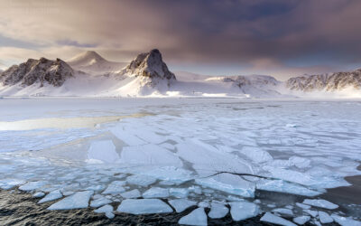 Dzień trzydziesty trzeci